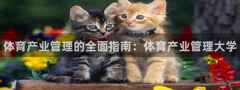 b体育必一下载：体育