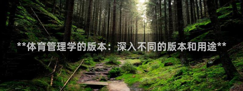 必一体育app平台下