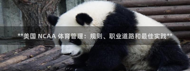 必一体育运动下载：*