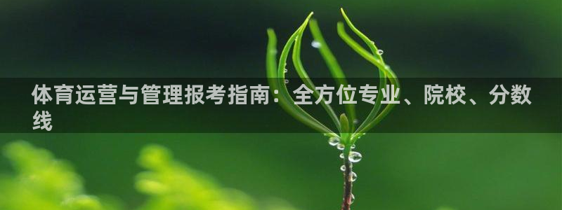 必一体育网页登陆：体