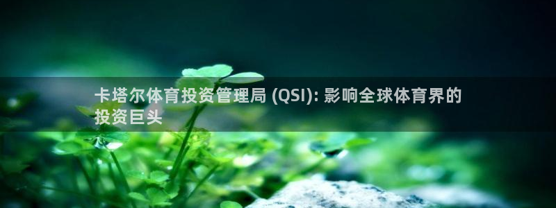 必一体育平台：卡塔尔