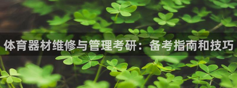 必一体育游戏玩法：体