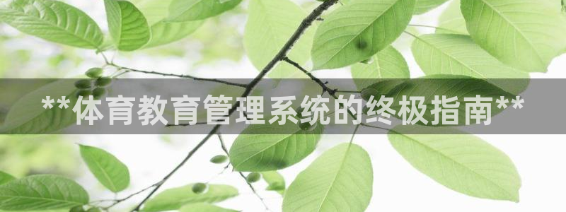 必一体育下载意思：*