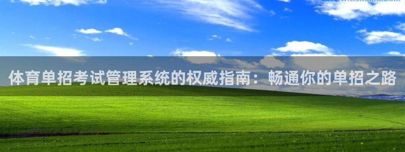 必一体育在哪下：体育