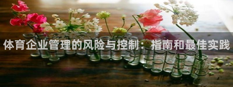 必一体育app官方网站：体育企业管理的风险与控制：指南和最佳