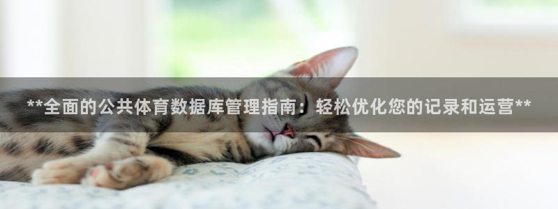 必一体育运动app：