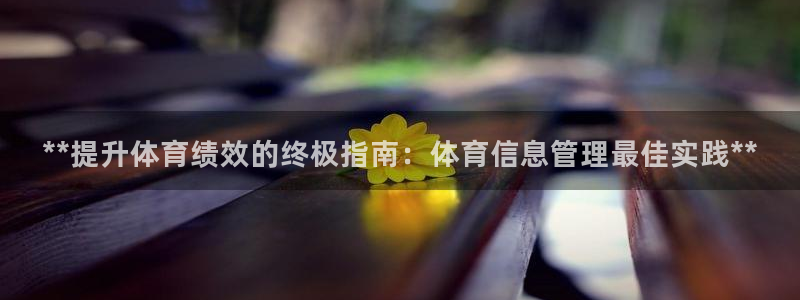 必一体育app官方下载入口：**提升体育绩效的终极指南：体育