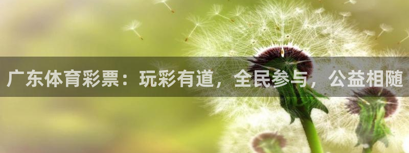 必一体育网页登录版官