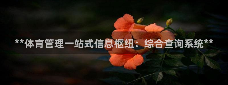必一体育官网app：