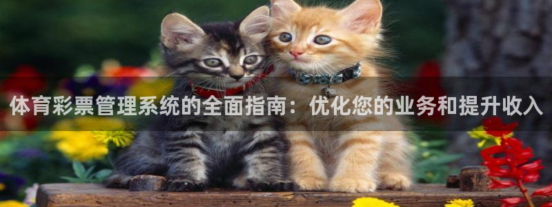必一运动·(b-sp