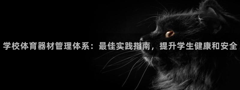 必一体育在线入口：学校体育器材管理体系：最佳实践指南，提升学