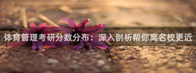 必一体育官网网址：体