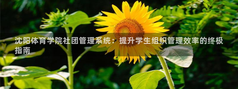 必一体育sport官