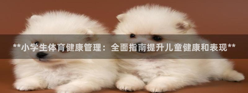 b体育必一下载：**