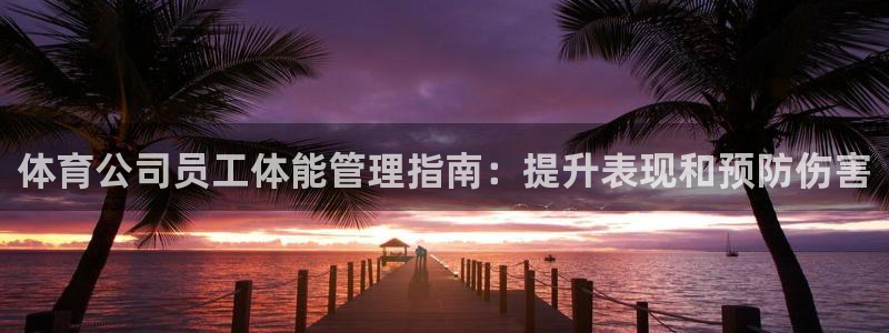 必一体育没了：体育公司员工体能管理指南：提升表现和预防伤害