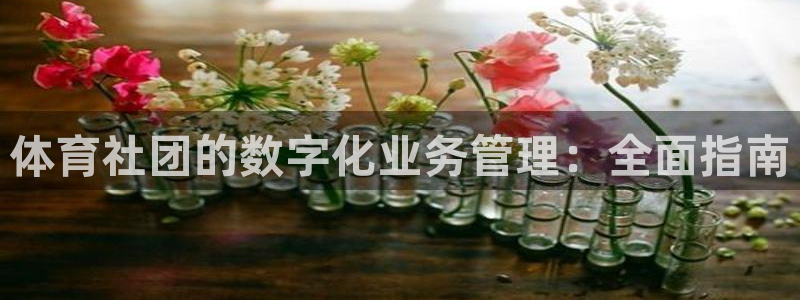 必一体育app官方正