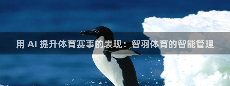 必一运动 b 体育素
