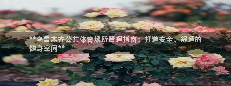 必一体育网页：**乌