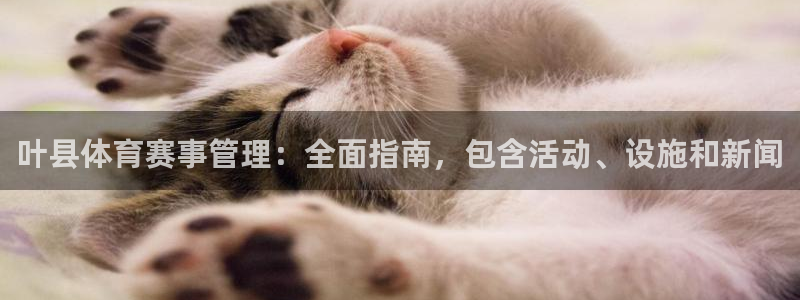 必一体育运动下载：叶