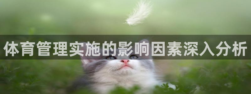 b体育必一运动网页版