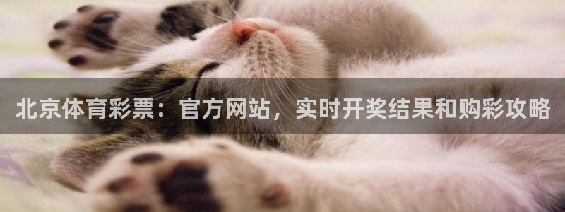 必一体育运动app：