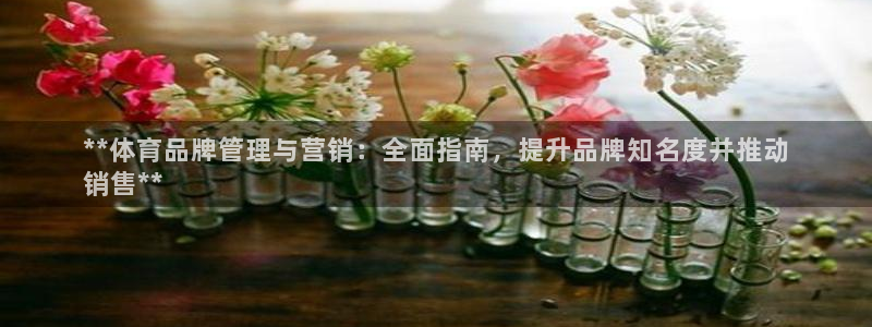 必一体育游戏特色：*