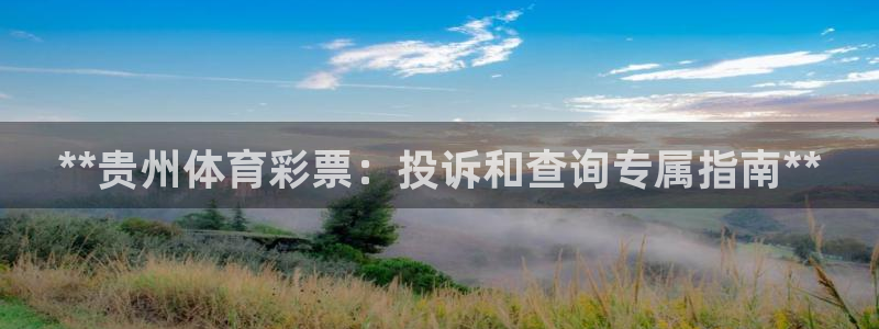 必一体育bsport