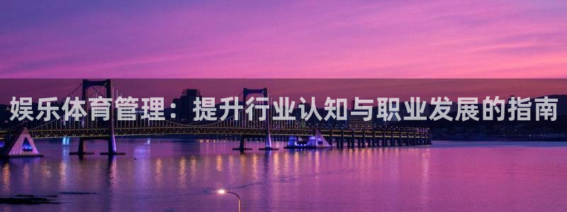 必一体育游戏玩法：娱