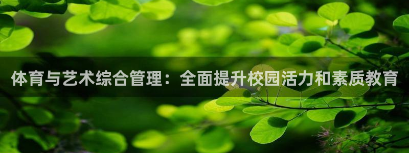 必一体育运动平台官网