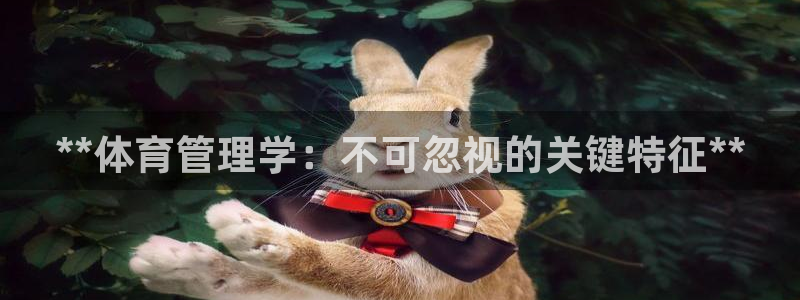 必一运动短信：**体育管理学：不可忽视的关键特征**