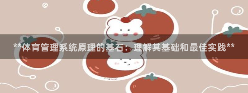 必一体育运动官网：**体育管理系统原理的基石：理解其基础和最