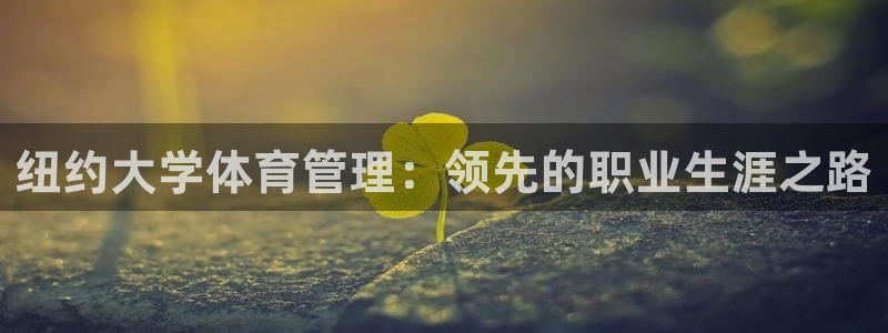 必一体育app下载安