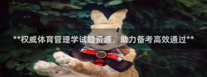 必一体育sport下