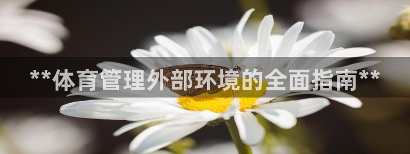 必一体育登录入口AP
