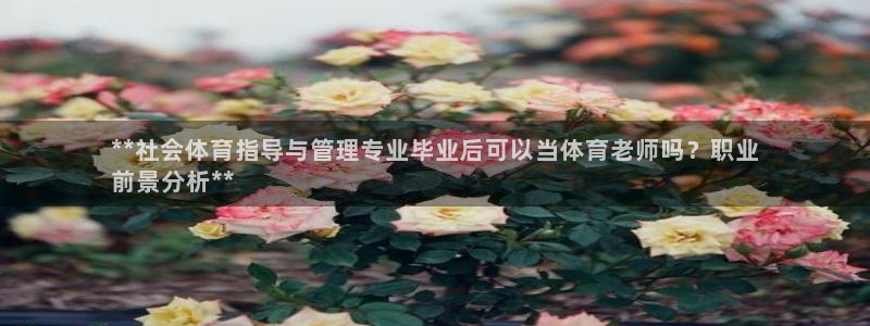 必一运动 b 体育素