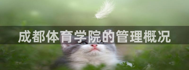 必一体育官方入口：成