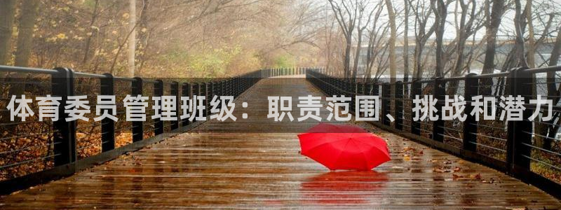 Bsport体育必一