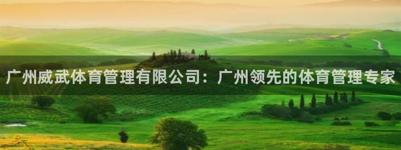 必一体育app下载装机吧：广州威武体育管理有限公司：广州领先
