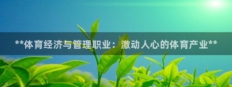 必一体育app下载装