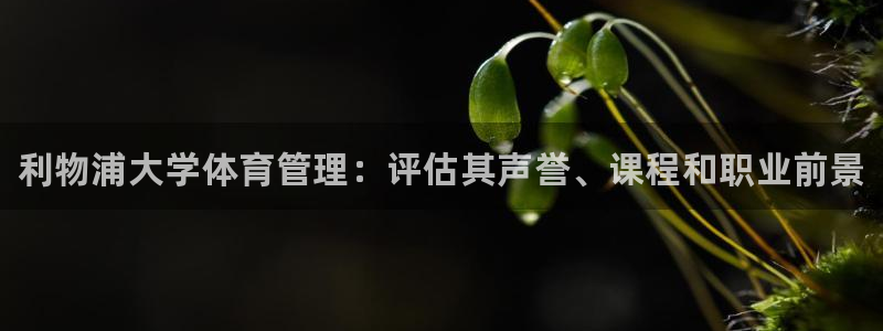 必一体育APP下载安