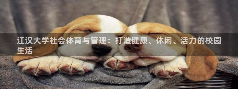 必一体育在线下载：江汉大学社会体育与管理：打造健康、休闲、活