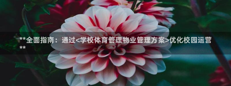 必一体育网页：**全