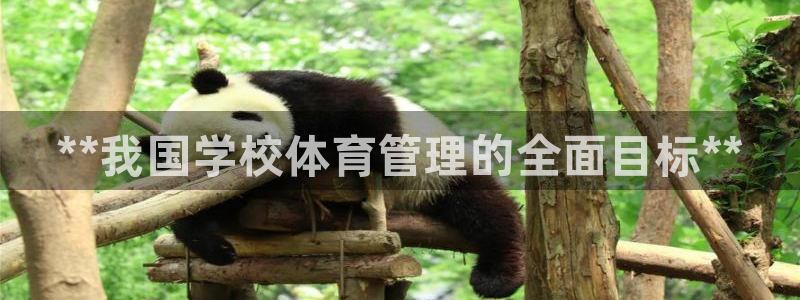 必一体育登录：**我