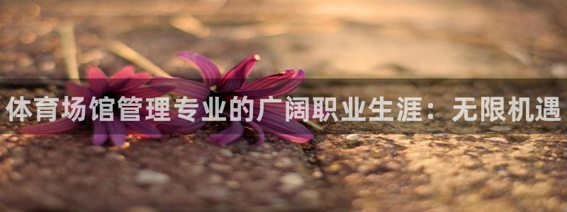 必一体育手机下载：体