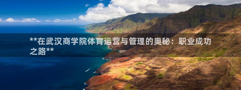 必一体育官网网址：*