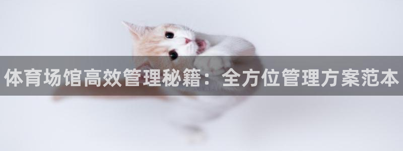 必一体育登录入口AP