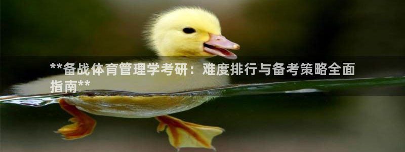 必一体育运动平台官网