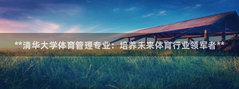 必一体育最新官网入口