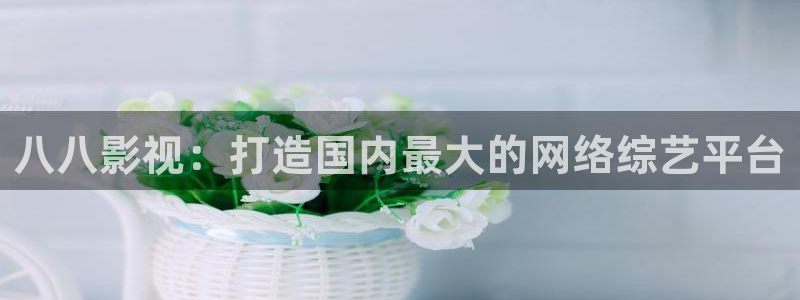 aa不卡毛片：八八影视：打造国内最大的网络综艺平台