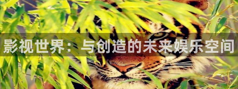 爽爽aa大片：影视世界：与创造的未来娱乐空间